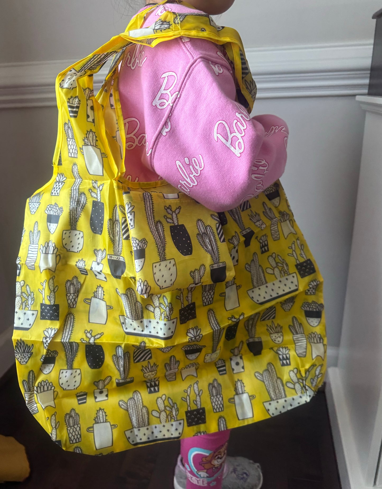 Reuseable Bag